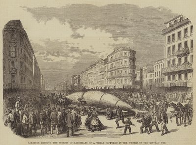 Transport dans les rues de Marseille d